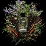 Silver Storm SIGNATURE